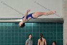 Diving vs Babson  Wheaton College Diving vs Babson College. - Photo By: KEITH NORDSTROM : Wheaton, Diving